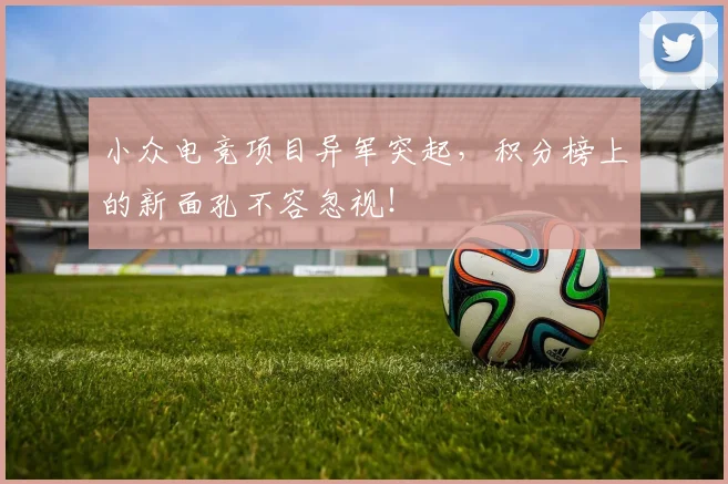 小众电竞项目异军突起，积分榜上的新面孔不容忽视！